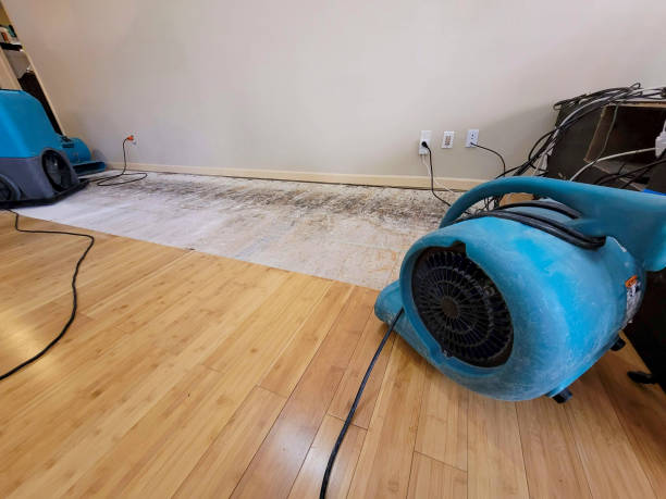 Reliable Basement Flood Cleanup contractor in Brooklyn, MS by Hirex Water Damage