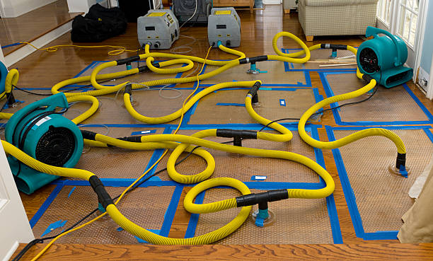 Professional Basement Flood Cleanup technician working in Brooklyn, MS